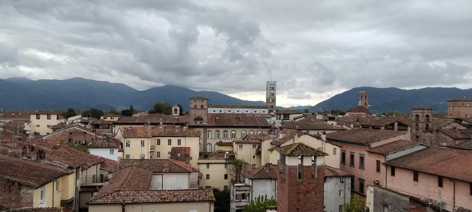 Appartamento Viale Puccini - Free Gated Parking - 3 Minutes From Center لوكا المظهر الخارجي الصورة